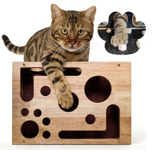 Cat Puzzle Enrichment Box